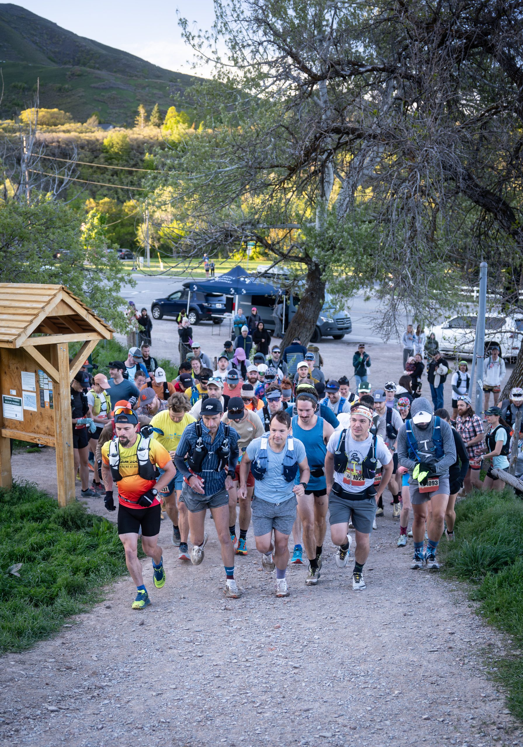 Salt Lake Foothills 50k/Half