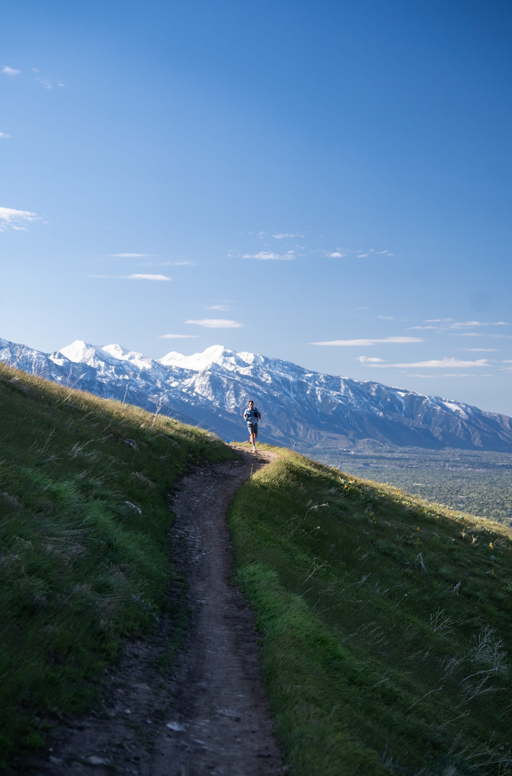 Salt Lake Foothills 50k/Half