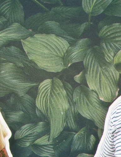 the Rocker by Satisfy Running