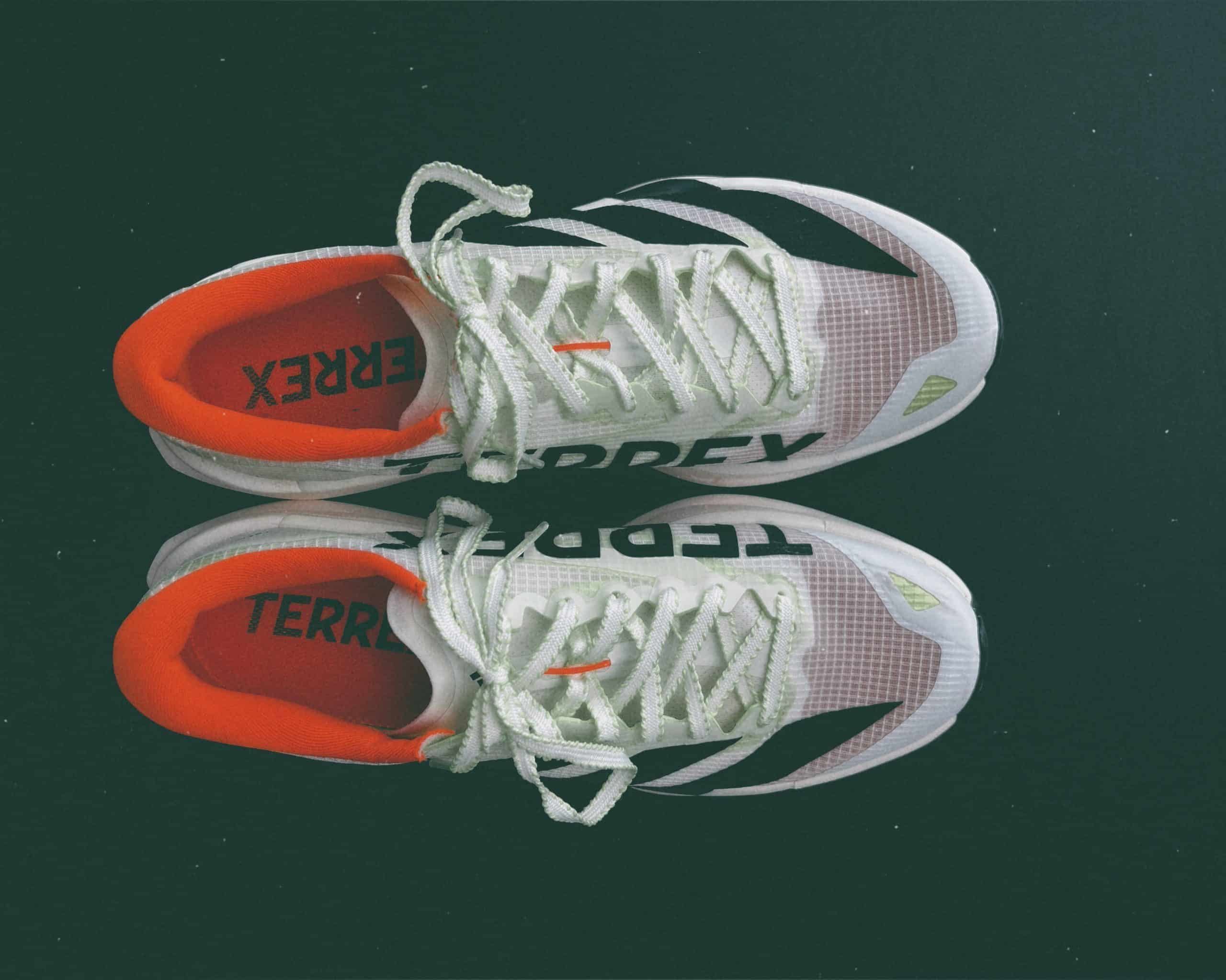 ADIDAS TERREX AGRAVIC TT