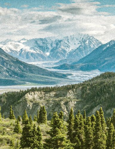 Mountain Scene with Pine Trees and Snow Capped Peaks