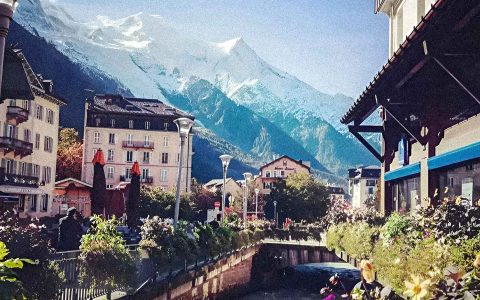 Scenic mountain view with flowers in Chamonix at UTMB